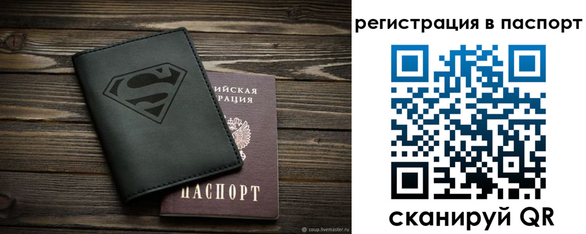 прописка для школы в Ростове